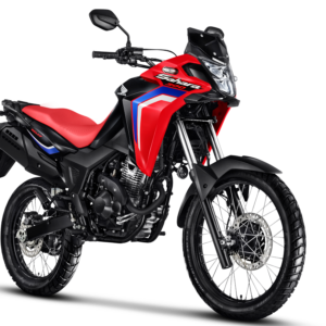Sahara 300 Rally
